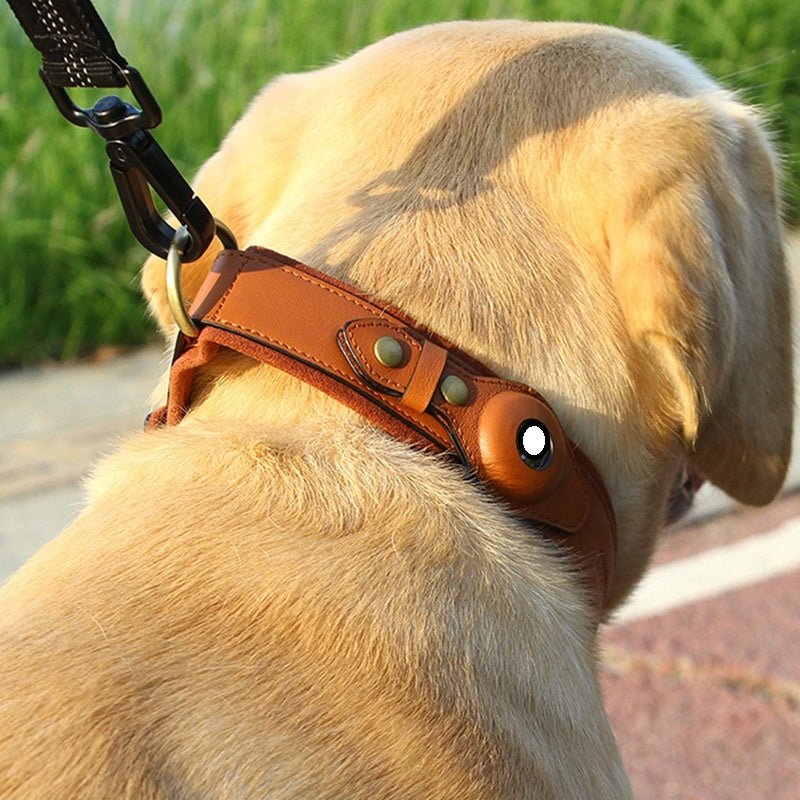 Location Tracker First Layer Leather Dog Pet Collar - PawTeh