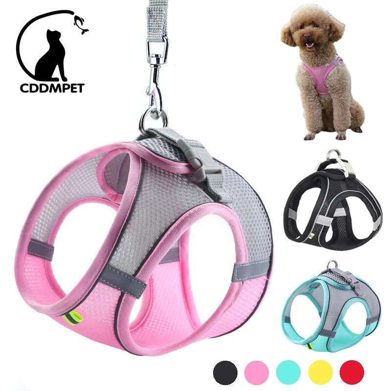Dog Harness Leash Set for Small Dogs Adjustable Puppy Cat Harness Vest French Bulldog Chihuahua Pug Outdoor Walking Lead Leash - PawTeh