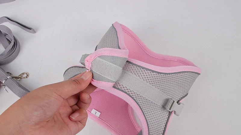 Dog Harness Leash Set for Small Dogs Adjustable Puppy Cat Harness Vest French Bulldog Chihuahua Pug Outdoor Walking Lead Leash - PawTeh